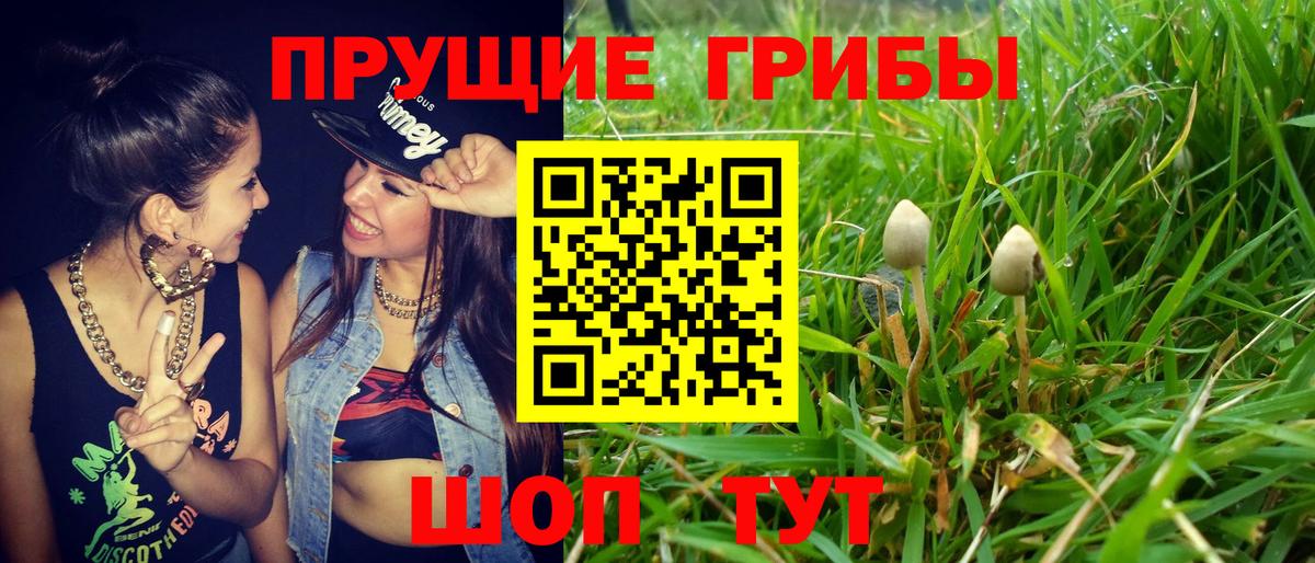 что такое   Галлюциногенные грибы GOLDEN TEACHER  Вход с VPN  Алексин 